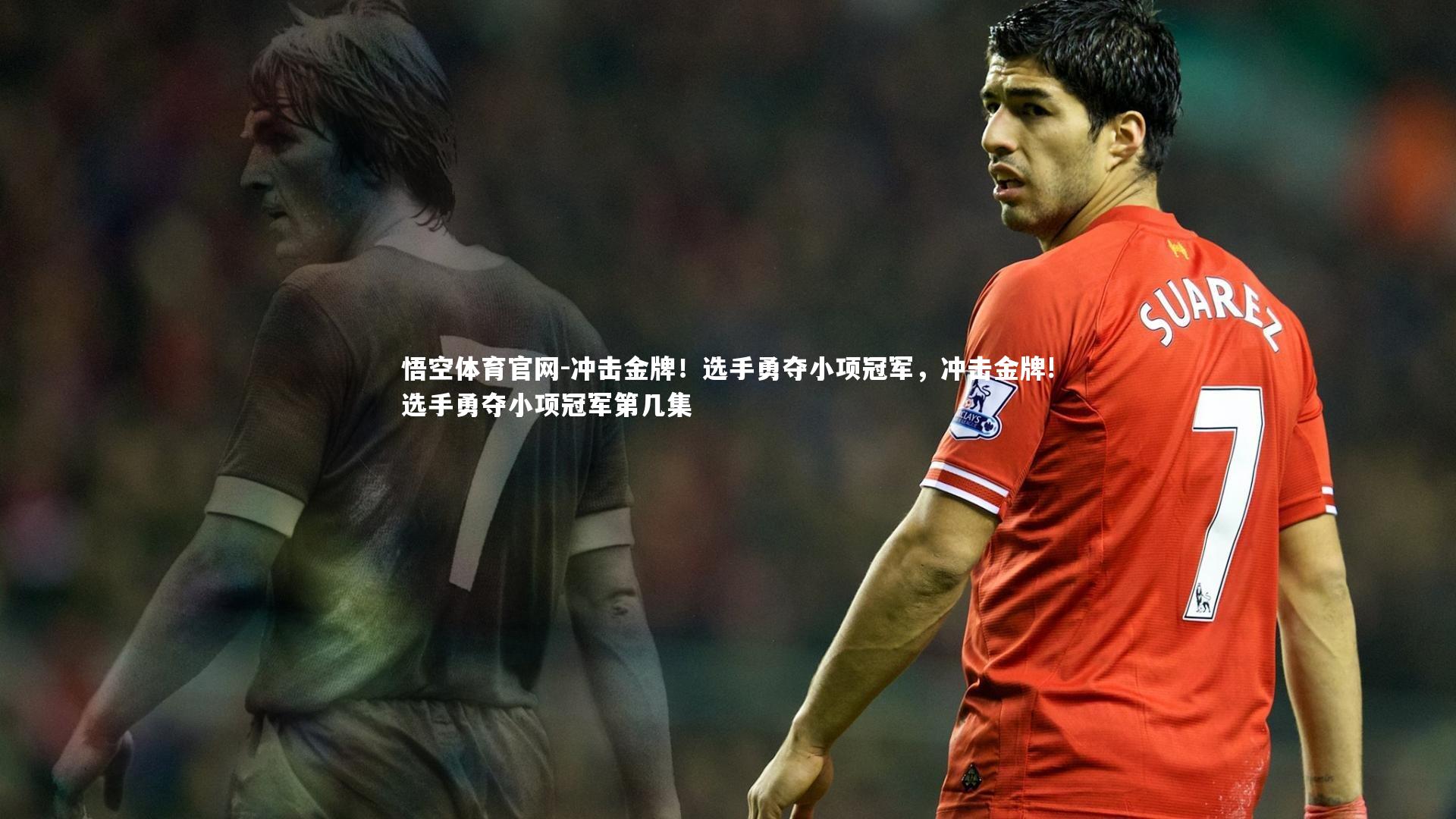 冲击金牌!选手勇夺小项冠军,冲击金牌!选手勇夺小项冠军第几集