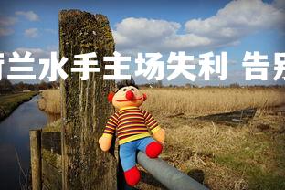 悟空体育官网-.荷兰水手主场失利 告别希望,荷兰船队