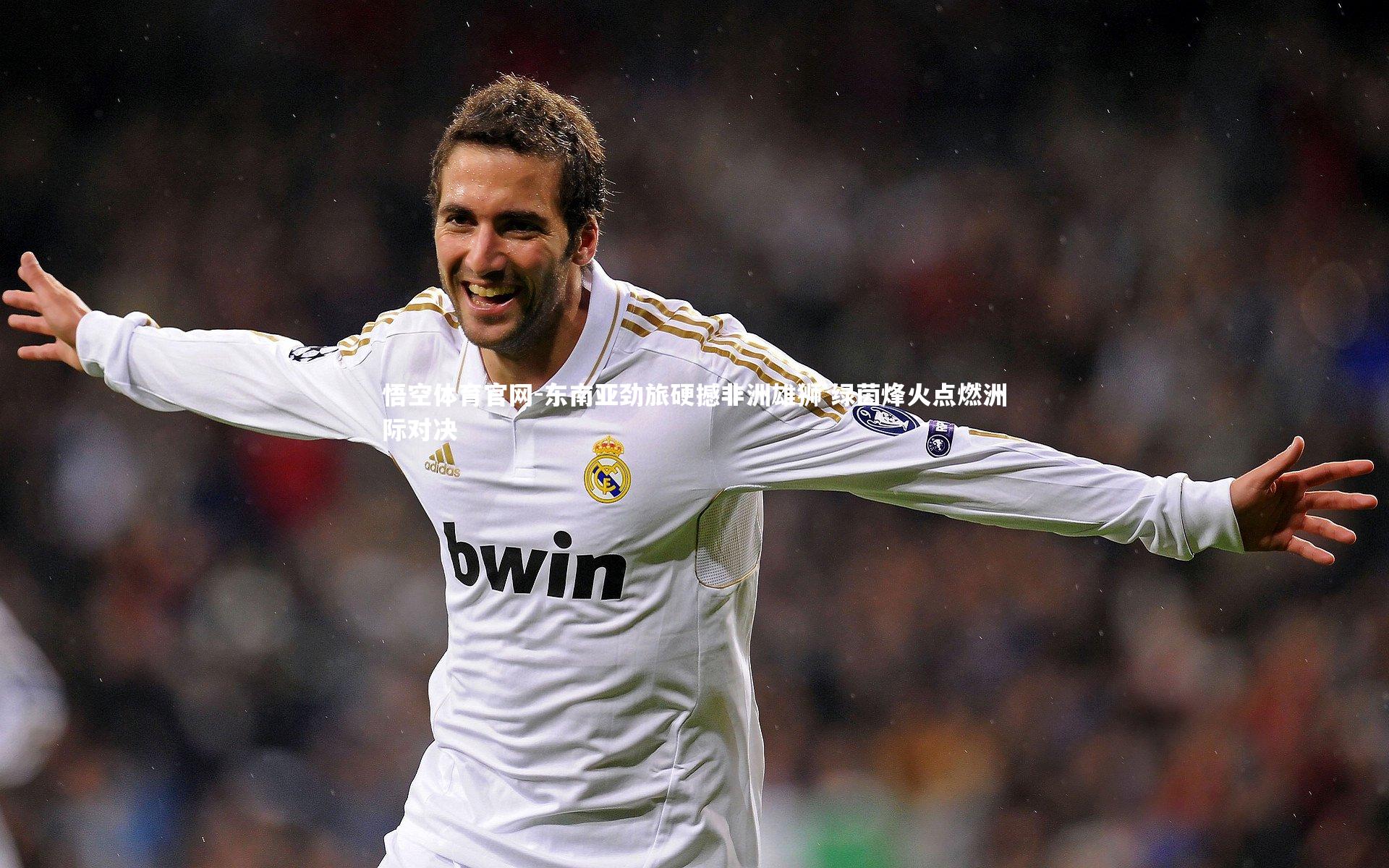 悟空体育官网-东南亚劲旅硬撼非洲雄狮 绿茵烽火点燃洲际对决