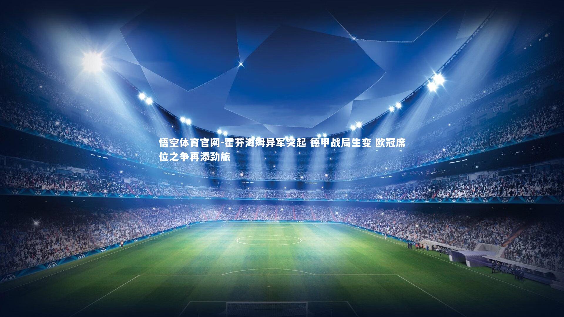 霍芬海姆异军突起 德甲战局生变 欧冠席位之争再添劲旅